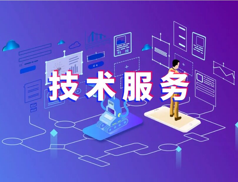 支付 FM 平台接口技术运维服务费｜线上技术服务